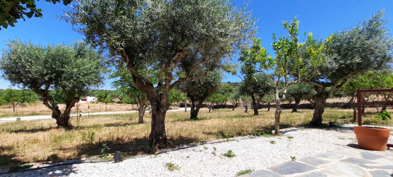 Quinta Da Soneca Lejlighed Alandroal Eksteriør billede